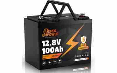 The 12 Best 12v Lifepo4 Batteries For Solar of 2026
